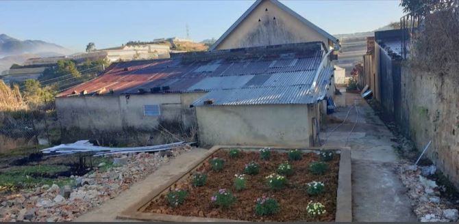 ĐÀ LẠT HỮU NGAY BẤT ĐỘNG SẢN RỘNG 800M2 – GIÁ SIÊU HỜI CHỈ 9 TỶ - 3