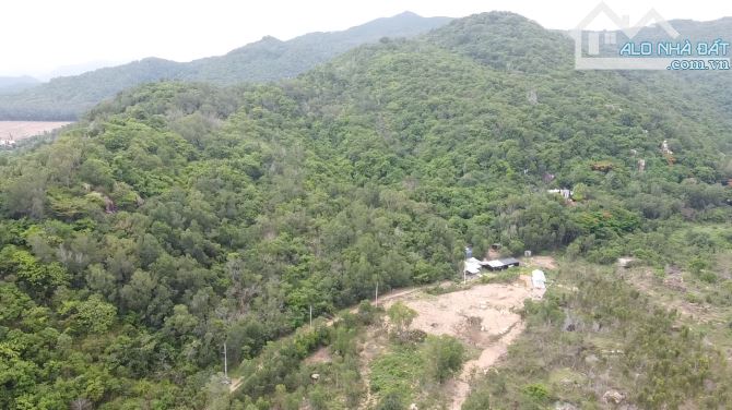 Bán 2.000m2 đất view núi Dinh phường Phú Mỹ tp Hồ Chí Minh - 4