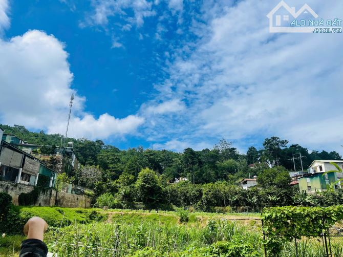 Đất xây biệt thự view thông Hùng Vương gần 250m2 full thổ chỉ hơn 8 tỷ P10 Đà Lạt - 4