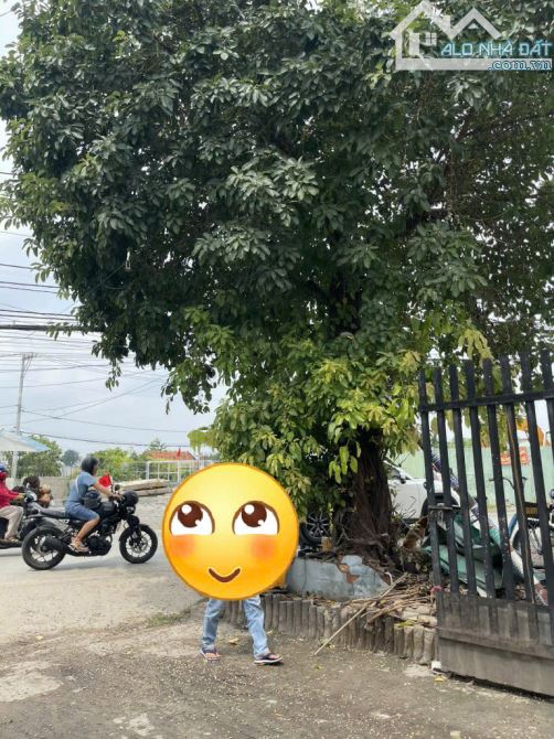 💖 Đất thổ cư Mặt tiền đường TX25 phường TX Quận 12, dt 240m2 (8mx30m) Đường 32m 💰 20 tỷ - 4