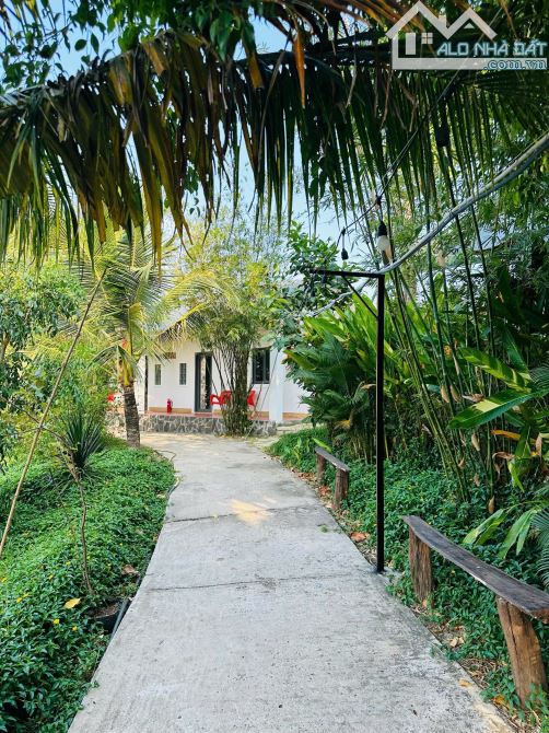 Anh Chủ Bán Homestay Tại Đất Đỏ Gần Biển Hồ Tràm. 1.2 Mẫu Giá 19.9tỷ - 5
