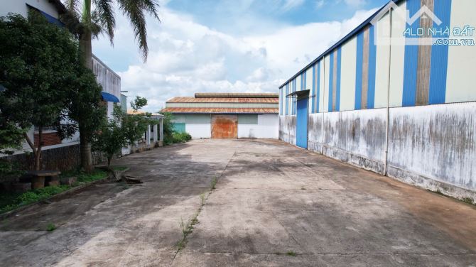 Bán nhà và kho xưởng 3500m2 ngay ngã 3 La Sơn, cách Trường Chinh nối dài, Tp.Pleiku - 5