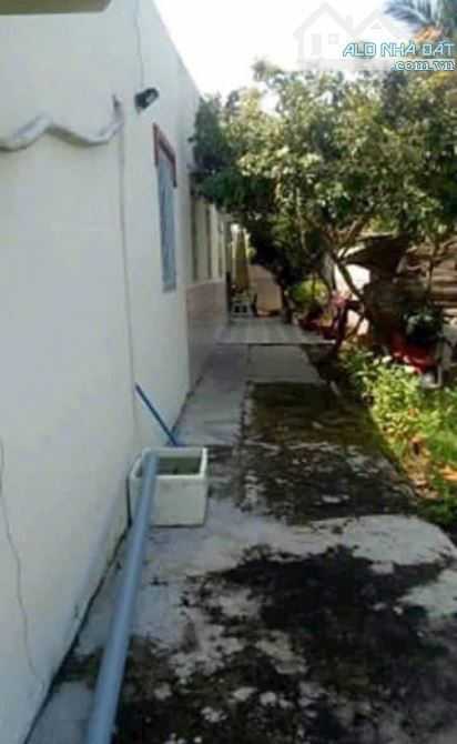 Kẹt tiền Chủ Ngộp Cần Bán nhanh Căn nhà ở Gia Lộc Trảng Bàng 670triệu Sổ Hồng Riêng 309m2 - 5