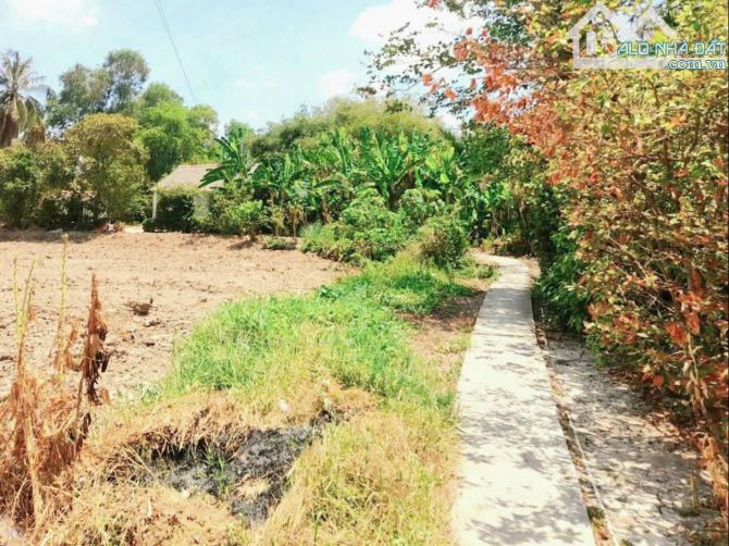Hàng ngộp, 180m2 đất thổ cư gần Chợ Đức Tân, 350tr - 5