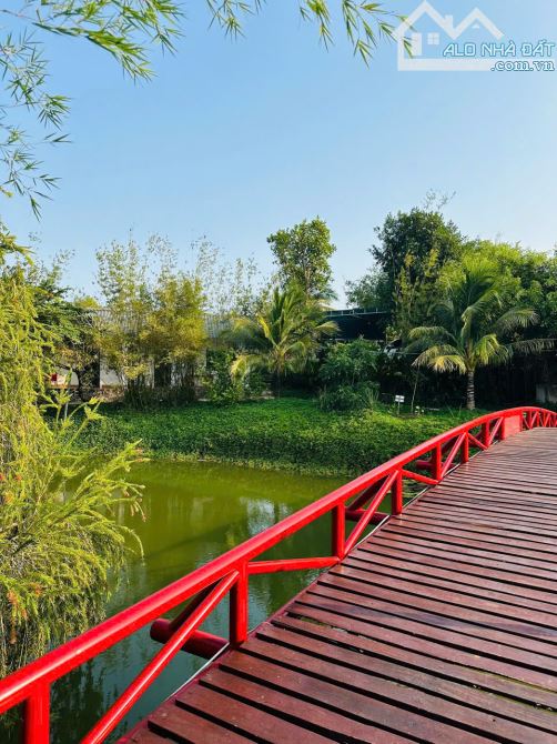 Homestay Đã đầu tư hoàn thiện-giáp suối, view nhìn ra cánh đồng Lúa-12.000m2-19,9 Tỷ - 6