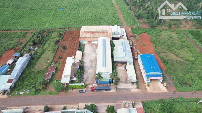 Bán nhà và kho xưởng 3500m2 ngay ngã 3 La Sơn, cách Trường Chinh nối dài, Tp.Pleiku - 7