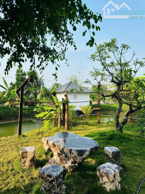 Homestay Đã đầu tư hoàn thiện-giáp suối, view nhìn ra cánh đồng Lúa-12.000m2-19,9 Tỷ - 7