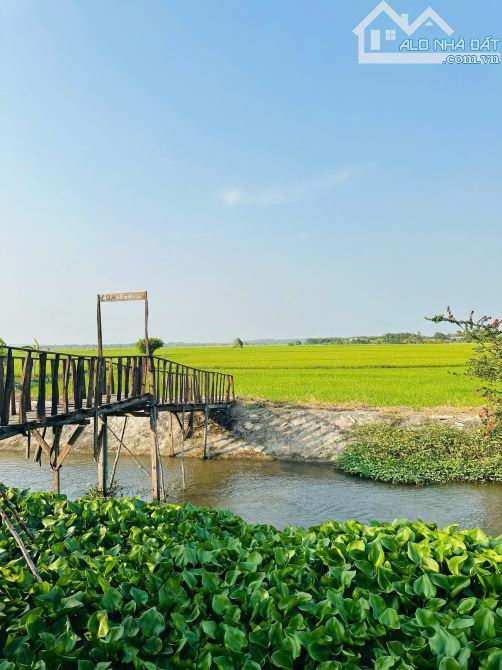 Homestay Đã đầu tư hoàn thiện-giáp suối, view nhìn ra cánh đồng Lúa-12.000m2-19,9 Tỷ - 8