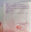 Nhà đẹp giá tốt, 187m2 Tân Thông Hội, Củ Chi 780 triệu thương lượng