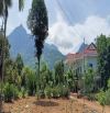 Bán đất Minh Quang, Ba Vì, 4510m, 400tc, oto, có nhà sàn, khuôn viên, cây xanh, 11.99tỷ