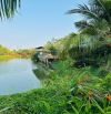 Anh Chủ Bán Homestay Tại Đất Đỏ Gần Biển Hồ Tràm. 1.2 Mẫu Giá 19.9tỷ