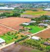 Hàng Vip, 170m2 đất thổ cư đường ô tô cực đẹp, 530tr