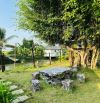 Homestay Đã đầu tư hoàn thiện-giáp suối, view nhìn ra cánh đồng Lúa-12.000m2-19,9 Tỷ