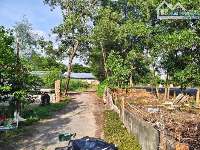 Cách QL51 tầm 100m với giá chỉ 1.5 chưa từng có. Đất sạch có thổ - 2