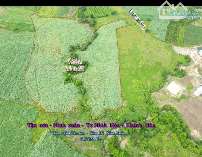 Bán đất Ninh Xuân Ninh Hoà gần KCN Becamex 4,2ha giáp suối giá 4,2 tỷ