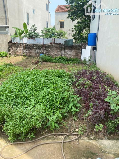 BÁN ĐẤT TÂN LẬP - ĐAN PHƯỢNG - HÀ NỘI - 47,5m2 - VỊ TRÍ ĐẸP, THOÁNG, GIAO THÔNG TIỆN LỢI