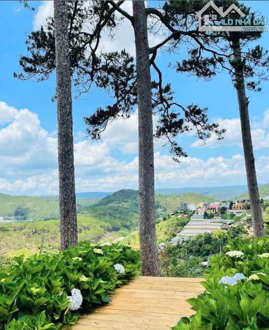 🏡 BÁN ĐẤT ĐƯỜNG Ô TÔ LỚN HOÀNG HOA THÁM - VIEW CỰC ĐẸP - CÁCH HỒ XUÂN HƯƠNG CHỈ 1KM