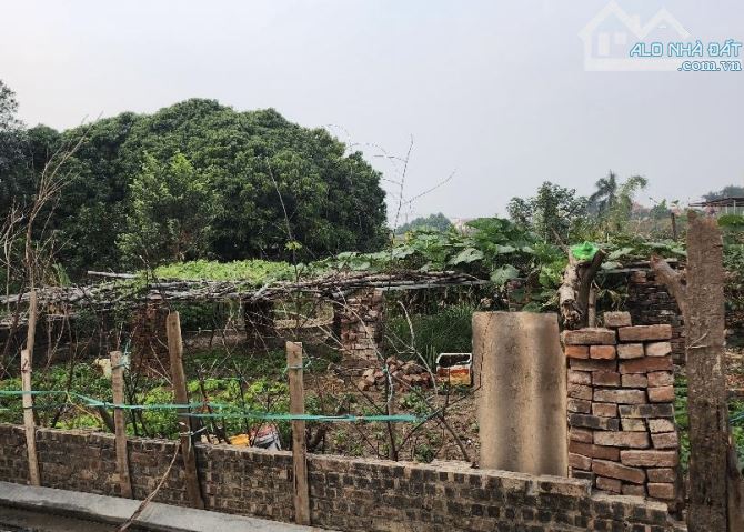 🌿 TÌM MÃI MỚI CÓ – LÔ ĐẤT NHỎ XINH, GIÁ DỄ THƯƠNG TẠI HẢI BỐI 38M2 - CHỈ 2.X TỶ. - 2
