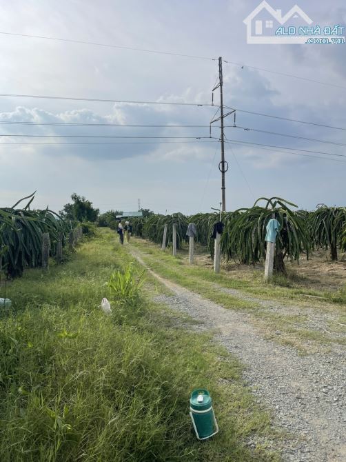 Bán đất Thanh Long cách Phan Thiết 16km, ngay trạm thu phí Sông Phan, dt 15500