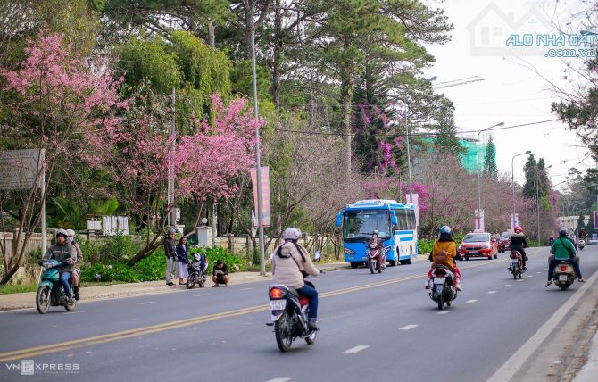 Bán nhà phố hẻm xe hơi đường Phù Đổng Thiên Vương P8 Đà Lạt giá chỉ 7,6 tỷ