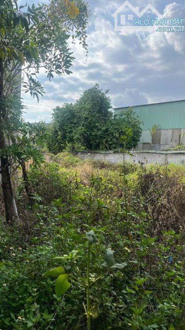 BÁN ĐẤT NGUYỄN AN NINH 758m²(12*51)|Ô TÔ. GẦN GA DĨ AN. CHỈ 12 TỶ