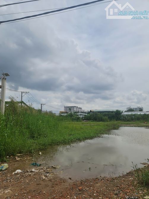 LÔ ĐẤT BƯNG ÔNG THOÀN – DT 3149M² – ĐƯỜNG XE HƠI TRÁNH – PHÚ HỮU, TP. THỦ ĐỨC