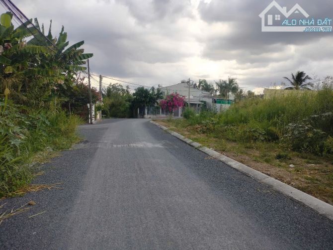 Bán đất đường nhánh Ngô Quốc Trị nối dài Trà Vinh - 1