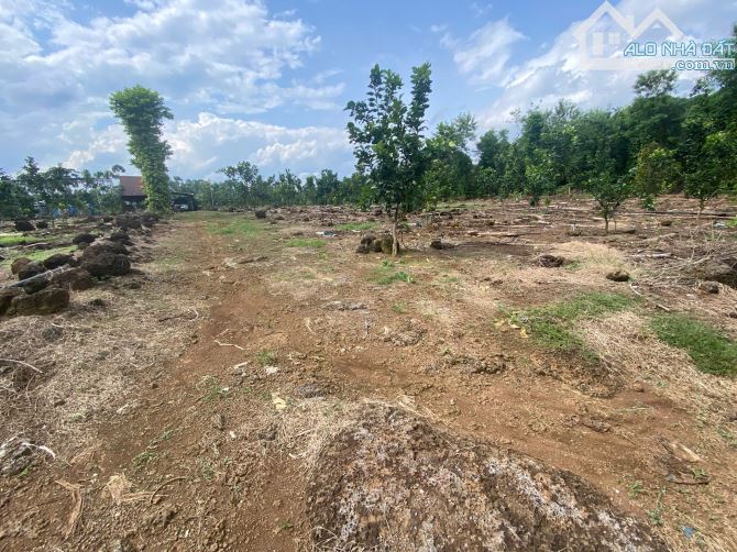 3ha đất,chỉ 800 triệu ha,đất có điện nước đầy đủ,thích hợp lập vườn cây ăn trái - 1