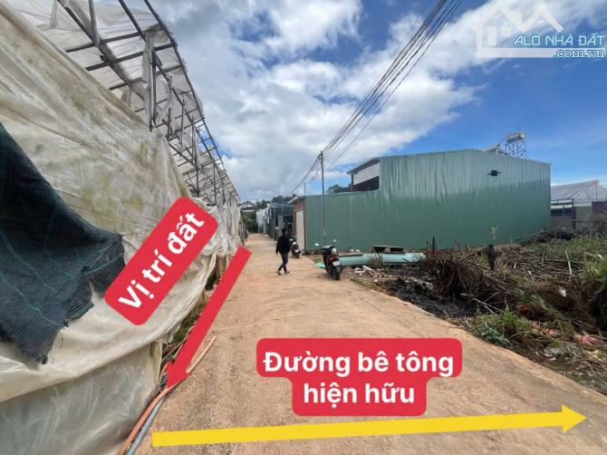 Bán đất sổ riêng nông nghiệp tại p8 Đà Lạt - 1