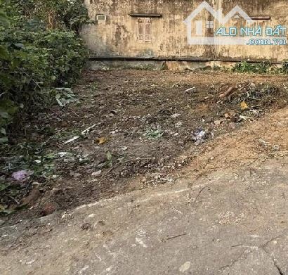 🔥 BÁN ĐẤT ĐÔNG HỘI 130M² – HƠN 9 TỶ  LÔ GÓC – MẶT TIỀN RỘNG – Ô TÔ VÀO TẬN ĐẤT ‼️ - 1