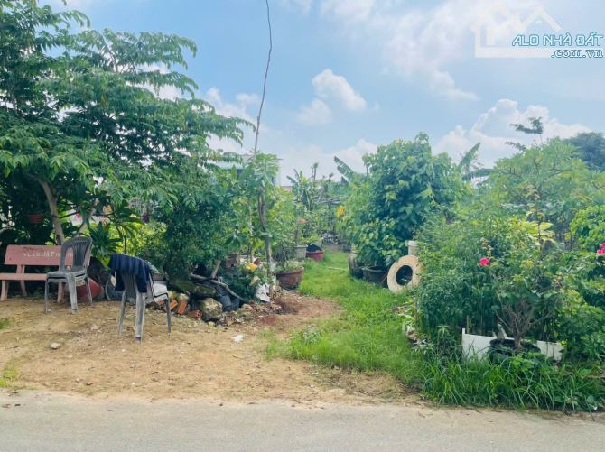 Cần bán nhanh lô đất toạ lạc tại Tân Hưng Đường 12 Cách Lê Trọng Tấn 200m - 1