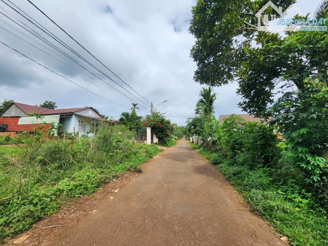 Đất nhà vườn Buôn Komleo - Hoà thắng - 1