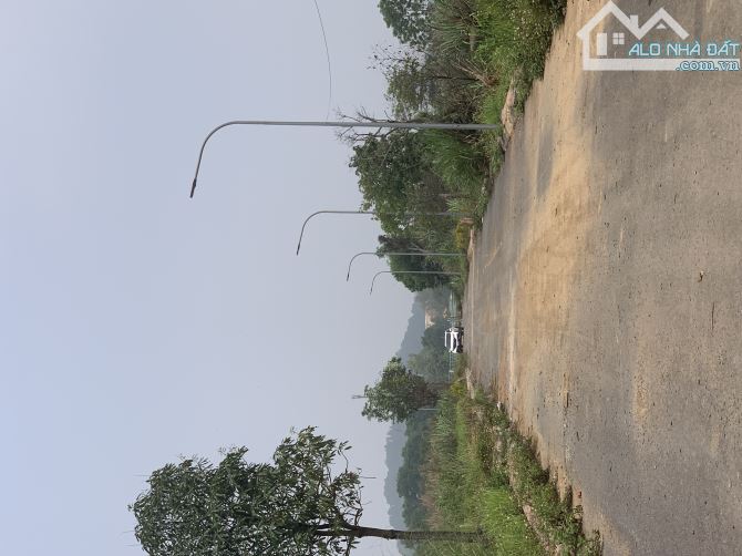 BÁN NHANH LÔ ĐẤT THÔN 7 PHÚ CÁT QUỐC OAI: 155M, MT 6, ĐƯỜNG 8M, GIÁ BÁN 35TR/M2. - 1