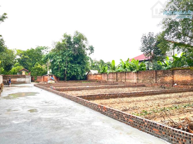 Chính chủ bán đất Đan Tảo, Tân Minh 83m Full thổ cư MT 6,5m giá ô tô đỗ cửa nhỉnh 1,5 tỷ - 1