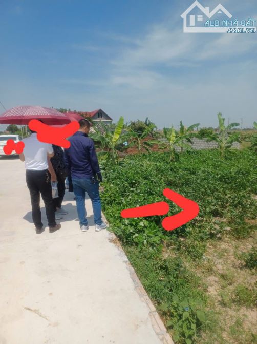 BÁN ĐẤT AN TẬP -LƯƠNG TÀI- OTO TRÁNH THÔNG -96M- 1 TỶ250 - 1