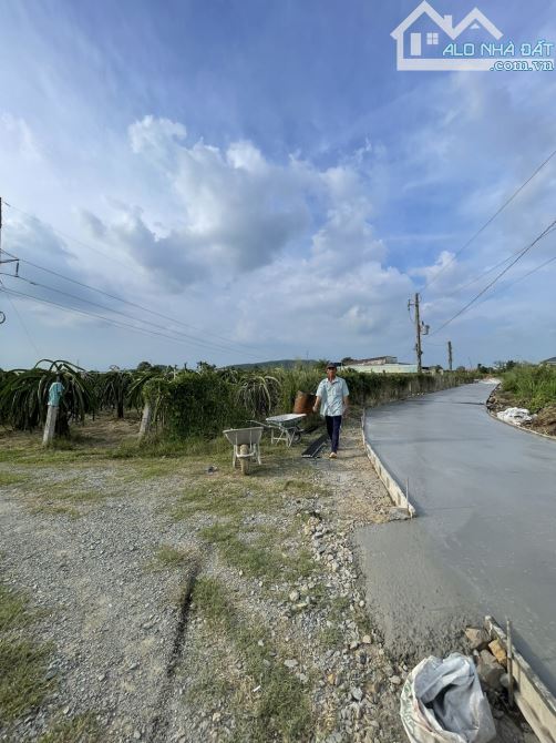 Bán đất Thanh Long cách Phan Thiết 16km, ngay trạm thu phí Sông Phan, dt 15500 - 1