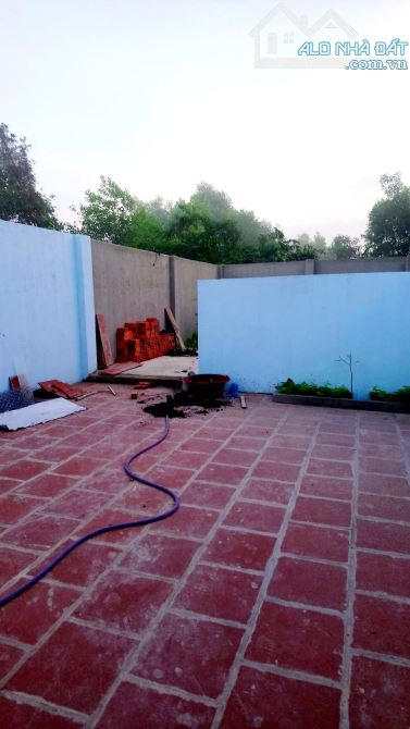 Nhà 6x60m Mặt Tiền Đường Nguyễn Văn Bứa X.Xuân Thới Sơn Hóc Môn Giá 12.8 Tỷ TL - 2