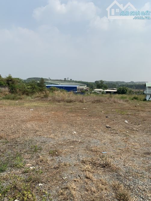 BÁN 8000m2 ĐẤT VỊ TRÍ ĐẮC ĐỊA MẶT TIỀN VÕ NGUYÊN GIÁP, BIÊN HOÀ CÓ DÒNG TIỀN CHO THUÊ LỚN - 2