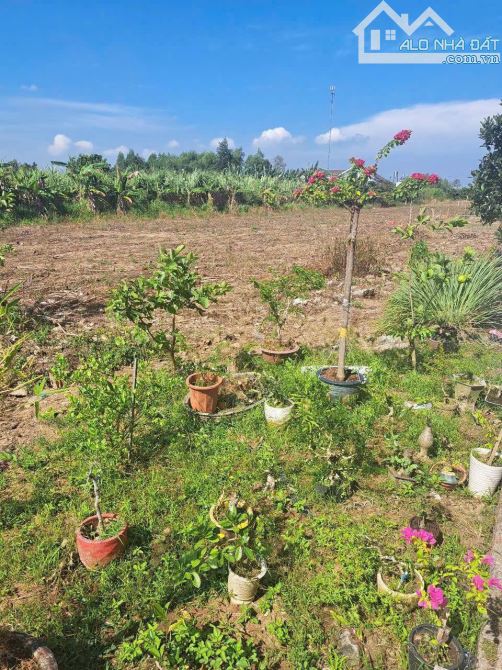 BÁN ĐẤT VỊ TRÍ VÀNG GẦN CHỢ, ỦY BAN,SÁT KHU TÁI ĐỊNH CƯ HẮC DỊCH - 2