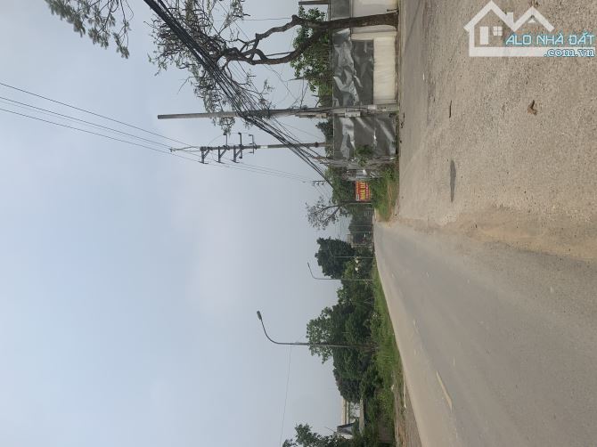 BÁN NHANH LÔ ĐẤT THÔN 7 PHÚ CÁT QUỐC OAI: 155M, MT 6, ĐƯỜNG 8M, GIÁ BÁN 35TR/M2. - 2