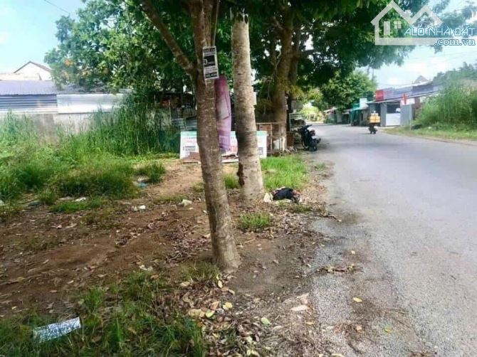 Bán đất 3000 m2 mặt tiền 40M Đường Tỉnh Lộ 925 (BOT số 10) HẬU GIANG, về ngã 6) ngang 40m - 2