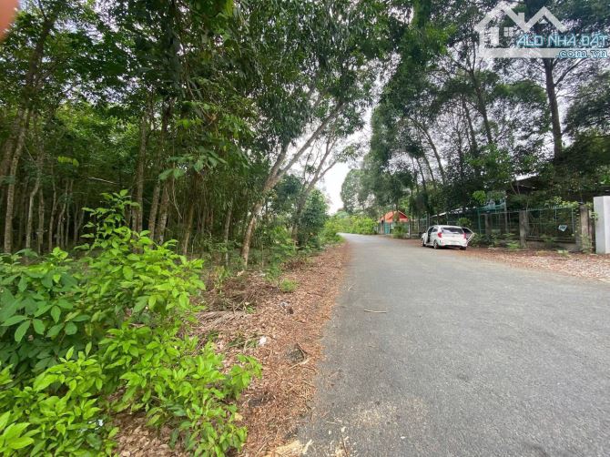 ĐẤT CHÍNH CHỦ, NGAY TRUNG TÂM, DIỆN TÍCH RỘNG, GIÁ CHỈ 2 TỈ 3. - 2