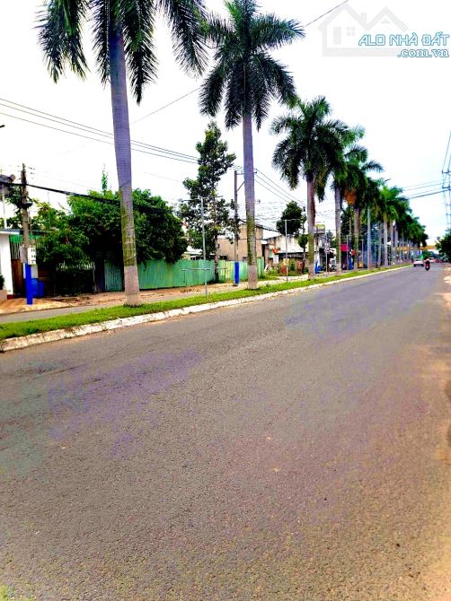 BÁN GẤP!!! ĐẤT 2 MT, 145M2, NGANG 5M, HẺM XE TẢI, DĨ AN, GIÁ RẺ!!! - 2