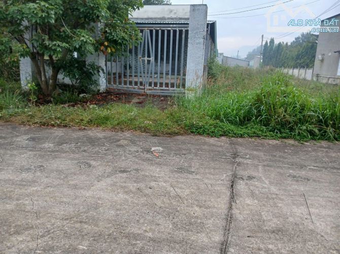 Cần bán lô đất gần 1 sào – vị trí đẹp khu phố 4, phường Hắc Dịch, TP. Phú Mỹ - 2