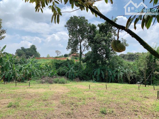 Bán khoảng 5 sào 7 (5681m2) đất Láng Lớn, huyện Châu Đức, BRVT. - 2