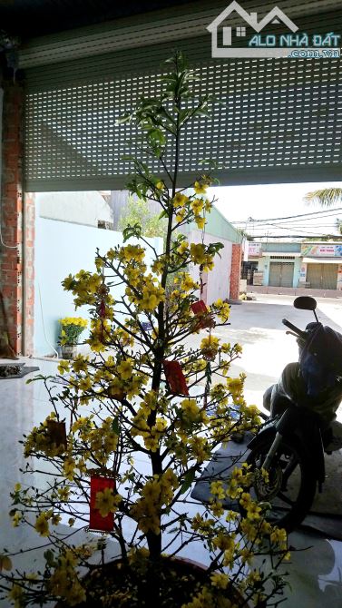 Nhà 6x60m Mặt Tiền Đường Nguyễn Văn Bứa X.Xuân Thới Sơn Hóc Môn Giá 12.8 Tỷ TL - 3
