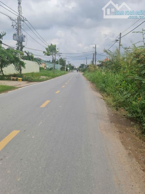 LÔ ĐẤT BƯNG ÔNG THOÀN – DT 3149M² – ĐƯỜNG XE HƠI TRÁNH – PHÚ HỮU, TP. THỦ ĐỨC - 3