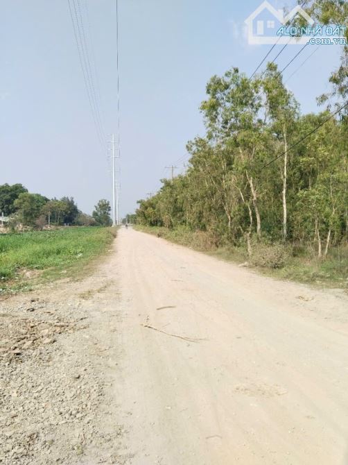 CẦN BÁN LÔ ĐẤT VƯỜN 1736 M2- XUÂN THỚI THƯỢNG - HÓC MÔN - GIÁ ĐẦU TƯ - 4