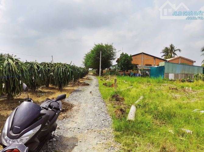 Quá Ngộp, 706m2 đất vườn 15x 37m, KDC Thanh Phú, 420tr - 4