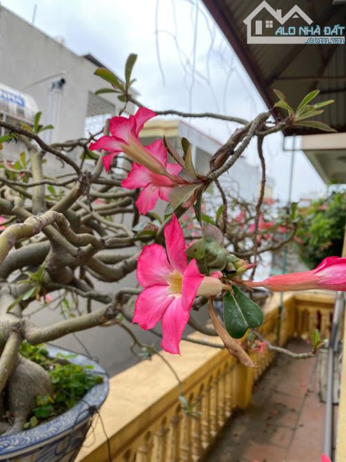 TÂN XUÂN CÔNG VIÊN HOÀ BÌNH NHÀ 4 TẦNG 55m 7,6 TỶ LÔ GÓC 2 THOÁNG Ô TÔ ĐỖ CỬA - 4